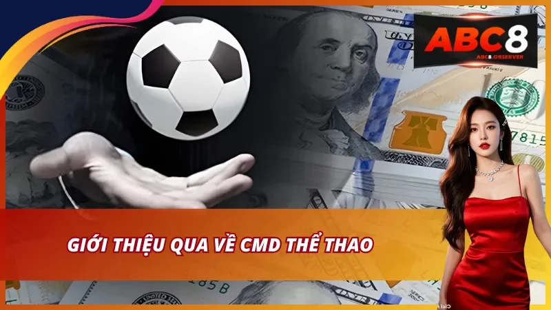 Bóng đá với hệ thống giải đấu phong phú