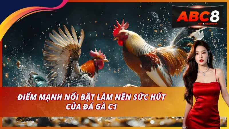 Tổ chức chuyên nghiệp và minh bạch
